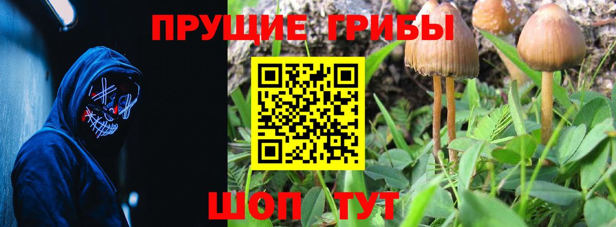 Галлюциногенные грибы ЛСД Луховицы